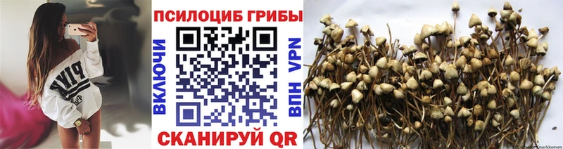 Галлюциногенные грибы Cubensis kraken ТОР Льгов купить